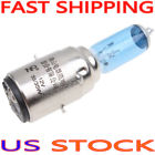 042-001-019 Unbranded Bulbs For Atv Scooter Dirt Bike Go Kart Wheeler