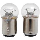 20-6589ab-bc202 Specialties Small Bulbs Globe Drag 5pk
