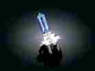 2206 Kuryakyn Headlamp Bulbs H7