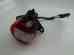 23024-y003 Assy Kvf300c Kawasaki 12 Tail Lamp