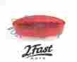 2fm-065-201 2fastmoto Universal Led Tail Brakelight Kawasaki Chopper Bobber Touring Cruiser