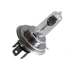 34901-mj6 732 Ruckus And Scooter Halogen Bright White Replacement Headlamp Bulb