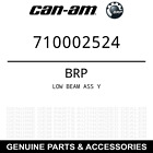 710002524 Brp Oem Low Beam Assembly