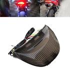 723044195234 Unbranded Smoke Led Tail