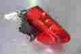 Ap8127153 Stock 2004 Aprilia Rsv 1000 Mille Taillight Rear Brake Tail Light Assembly