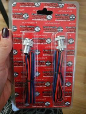 827-05036 Bagger Nation Paul Yaffe Lightning Bolts Led