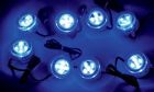 Brite-lites Bl-acledb Bulb Kit Led
