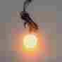Gen-125-a Custom Dynamics Universal Led Clusters Motorcycle Lighting