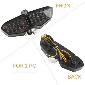 Gzyf 698632471239 Fit Yzf R6 2003-2005 R6s 2006-09 With Turn Signal Motor Black Brake Taillight