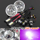 Hid-h4hl-slim-12k Hd-cw-5rnd-c Modifystreet 12000k Purple
