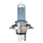 H4cvxl-bp P43t38 60 Bulb 55w 9003 Halogen 12.8volts Clearvision Xl Prefocus Hb2 Eiko T Axial 5