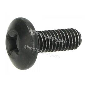 272836 Piaggio Original Oe Oem Cross Cylinder Head Screw M6x16 Aprilia Sr Derbi Bv Mp3 Vespa