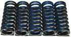 Cs216-6-0610 Production Kit High 93-13 Clutch Yz250 Spring Hinson Component Yamaha