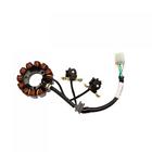 S-8250-05 Trail Tech Complete Stator
