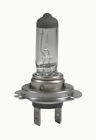 T1912v30 Candlepower Standard H6m Bulbs 12