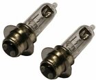 Tp-13m042 Fancy Scooters Two Of Light Bulb Dual Filament Atv Mini