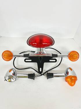 T2700430 Triumph Genuine Tail Light Assembly With Front And Rear Turn Signals