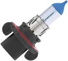 71856 White 55w Xtreme 65 Bulb 71685 85 H13 Piaa 75w