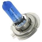 Px22s Xenon 55 100 Brite-lites H3 Blue Headlight - Pair Bulbs