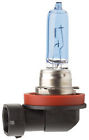 70955 Xtreme Bulbs 120w Piaa White 65w