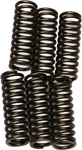 Ebc Clutch Spring Kit CSK92. Fixed Price $12.94.