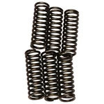 Ebc CSK92 Clutch Kit (set) Series 10% Stiffer Springs. Fixed Price $16.25.