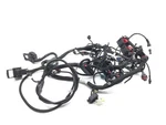 Main Engine Wiring Harness 2017 Ducati Multistrada 950 2866A. Fixed Price $169.44.