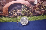 Headlight H.i.d. Dual Beam W/ Ballast Harley Electra Street Glide Touring K8. Fixed Price $89.10.