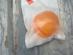 Harley Davidson Buell Turn Signal Lens Part #Y0503A.9. Fixed Price $15.00.