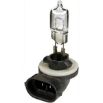 Candlepower - 894 Halogen Bulb, 12V 37.5W. Fixed Price $7.99.