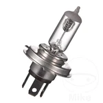 Jmp Bulb 12V35/35W HS1 PX43T Fits Suzuki Fl 125 2007-2009. Fixed Price $22.24.