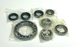 Differential Bearing Seal Kit Arctic Cat 300 400 454 500 Suzuki 250F. Fixed Price $55.96.