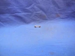 Suzuki 09471-06012 Bulb Volt DR100 250 500 DS185 Nos NP6140. Fixed Price $8.99.