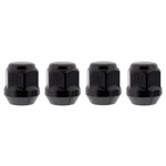 Black Lug Nuts Compatible With Suzuki-gm 09159-12024 Pack Of. Fixed Price $20.00.
