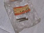 Suzuki GSX-R1100/GSX-R750/SP600/SP500 LT185 Tail Lens Screws (2) Nos!. Fixed Price $7.45.