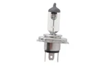 6 Volt Bulb For Harley-davidson. Fixed Price $40.99.