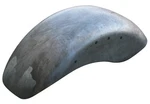 Universal Wide Drive 11" Custom Rear Smooth Sabre Fender For. Fixed Price $90.20.